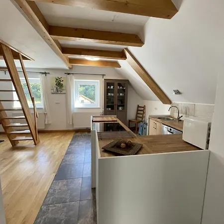 Apartman Haus By Alpine Host Helpers Fieberbrunn