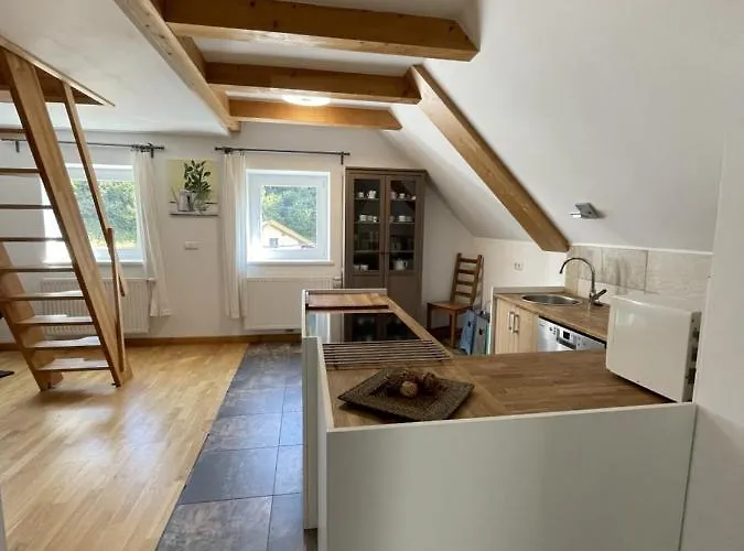 公寓 Haus By Alpine Host Helpers 菲伯布伦