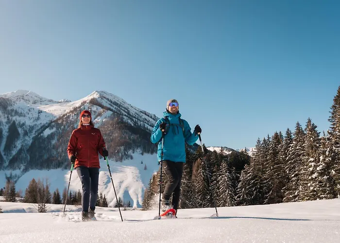 Haus By Alpine Host Helpers 公寓 菲伯布伦