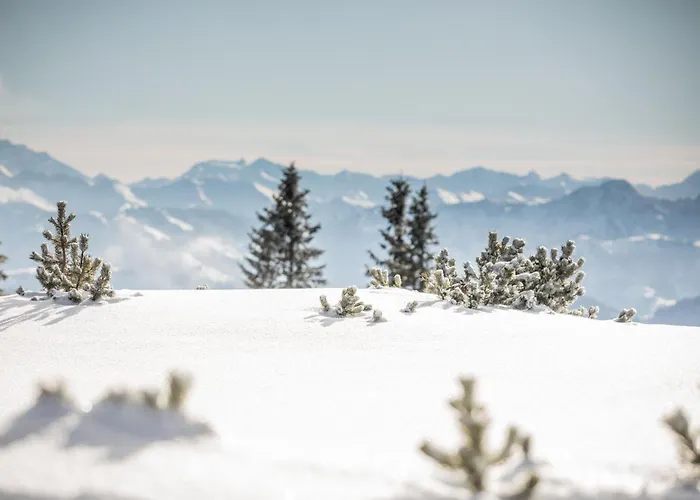 公寓 Haus By Alpine Host Helpers 菲伯布伦